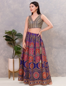 Navy Blue V-Neck Blouse with Gold Zari and Sequin Stripes