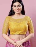 Yellow Net Embroidery Round Neck Fancy Blouse