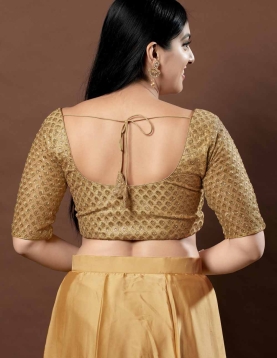 Net Embroidery Round Neck Fancy Blouse In Gold