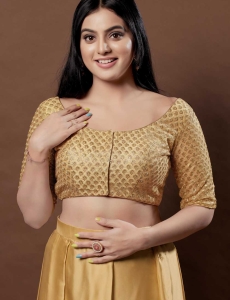 Net Embroidery Round Neck Fancy Blouse In Gold