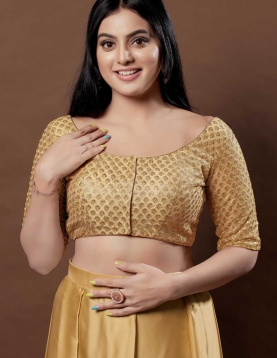 Net Embroidery Round Neck Fancy Blouse In Gold