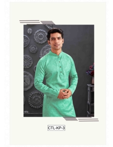 Traditional Pista Green Kurta Pajama Set