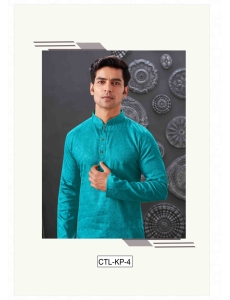 Traditional Rama Kurta Pajama Set