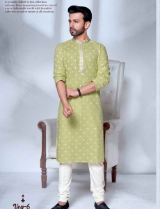 Green Embroidered Kurta Pyjama