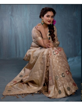 Champagne Gold Jacquard Saree with Multi-Color Woven Accents