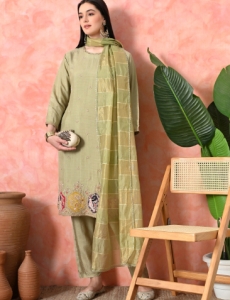 Desi India Women's Light Green Embroidered Salwar Suit Set, Traditional Ethnic Wear with Dupatta