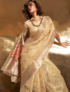Golden Paithani Zari Tissue Handwoven Saree, reflects its luxurious look in beautiful pastel colours