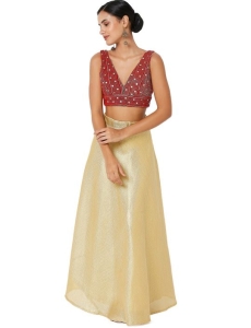 Red Velvet Sleeveless Blouse