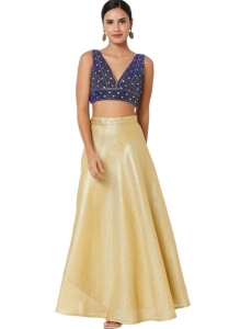 Royal Blue Velvet Sleeveless Blouse