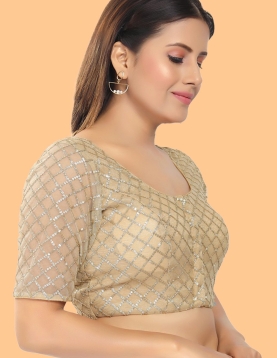 Gold Net Embroidered Round Neck Blouse